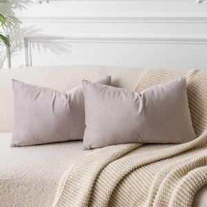 JUSPURBET Throw Pillow Covers Set of 2 Decorative Velvet Pillow Covers for Couch Sofa Bed Soft Lumbar Cushion Covers with Invisible Zipper for Living Room Home Decor,Champagne, 12x20 Inch