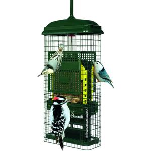 Squirrel Buster Suet Squirrel-Proof Suet Bird Feeder with Two Suet Cake Trays, Two Crumb Ports, Mess-Free Suet Loading, Durable Green Design for Clinging Birds, 26in