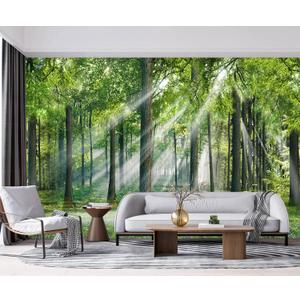 YQWDMX -Sunshine Forest Living Room Wallpaper XT24 M 140" x 91"