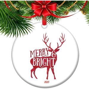 2025 Christmas Ornament, Merry and Bright Ornament for Holiday, Stocking Stuffer Gift for Friends Family Babys Kids.