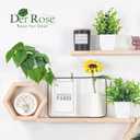 6 x Der Rose 6 Pack Fake Plants Small Artificial Potted Plants Faux Plants for Home Office Desk Bathroom Aesthetic Farmhouse Room Decor Indoor
