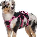 rabbitgoo Escape Proof Dog Harness Medium, Soft Padded Full Body Pet Harness, Reflective Adjustable No Pull Vest with Lift Handle and Leash Clip for Walking Hiking Training, Pink & Black, M (Medium (Pack of 1))