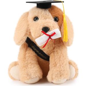 Chalyna 10 Inch 2025 Graduation Gift Dog Stuffed Animal Plush Golden Retriever with Diploma Tassel Graduation Hat Embroidered Blessings Preschool Kindergarten Gift for Friends, Relatives, and Kids