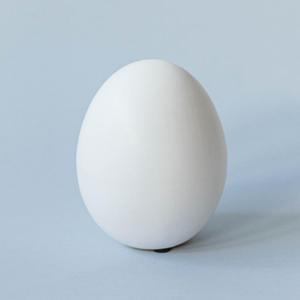 Matte White Ceramic Egg Figurine Matte White Ceramic Egg Figurine