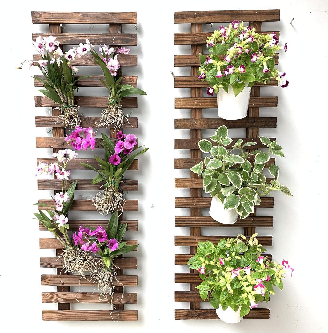 ShopLaLa Wall Planter Hanging Planter for Indoor Plants, Plant Stand, Air Plant Succulent Holder, Vertical Garden. Large Wall Decor for Living Room, Room Decor for Teens