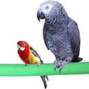 Bird Perch Rough-surfaced Nature Wood Stand Toy Branch for Parrots (Straight Perch, M)