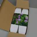 Der Rose 4 Pack Small Fake Plants Mini Artificial Faux Plants Indoor with Flowers Spring Decorations for Home Room Farmhouse Desk House Bathroom Decor White