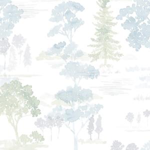 Forest Wallpaper