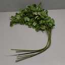 HyeFlora 5PCS Artificial Eucalyptus Leaves Stem Plants for Spring Decor, 32.7 inch Fake Leaves Greenery Branches Green Shrubs Silk Faux Foliage DIY Stems for Festival Home Kitchen Farmhouse(Green)