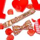 Lionheart Glory Valentine's Day Dog Collar With Bowtie for Large Dogs - Hearts Bear Spring Pink Pet Collar Bows (Large (Pack of 1)