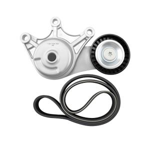 Serpentine Belt Drive Kit Fit for BMW X1 X3 X4 Z4 120i 220i 228i 320i 328i 428i 528i, 2.0L 1997CC 1998CC 2012-2018, Replace 39191 6PK1000 Including Tensioner and Belt