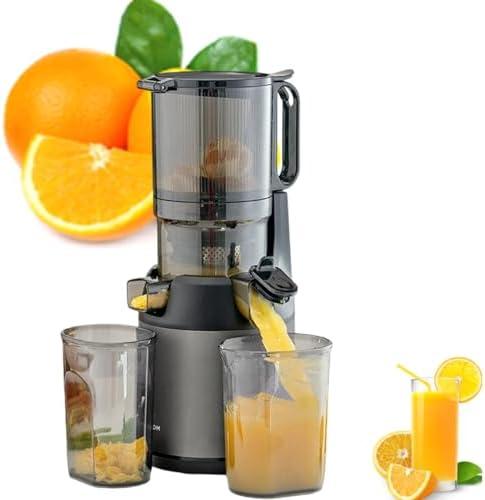 ZOCWJK 300W Slow Juicer for Fruits and Vegetables with Wide Feeding Chute, Portable Design and Pomace Separation Feature - Perfect for Healthy Green Juices (Grey