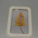 HH 11.8in Clear Wall Sign Leaf Yellow