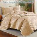 Luxury Soft Velvet Quilt Set Full Queen Size - Lightweight Velvet Bedding Set for All Season, Oversized Bedspread Coverlet Comforter Set with 2 Pillow Shams, Beige Brown, Diamond