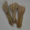 Geosar 400 Stems Dried Wheat Stalks for Decor Natural Wheat Grass Sheaves Bundle Farmhouse Artificial Flowers Arrangement for DIY Wedding Table Home Centerpieces Party Decorative (16.2 Inch)