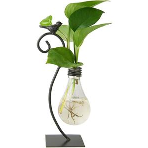 Marbrasse Desktop Glass Planter Hydroponics Vase,Planter Bulb Vase with Holder for Home Decoration,Modern Creative Bird Plant Terrarium Stand, Scindapsus Container (Bulb Vase)