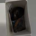 CJL HAIR Claw Clip Short Ponytail Hair Extensions DIY Bendable Metals Messy Bun Hair Piece for Women Wavy Curly Synthetic Fake Hairpieces Dark Chocolate