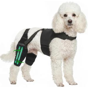 Dog Knee Braces for Back Leg Support,ACL/CCL Brace for Small Dogs,XS | Adjustable Dogs Brace for ACL Tear with 4 Stabilizers, Hip Support to Reduces Pain, Ligament Injuries & Luxating Patella, XS