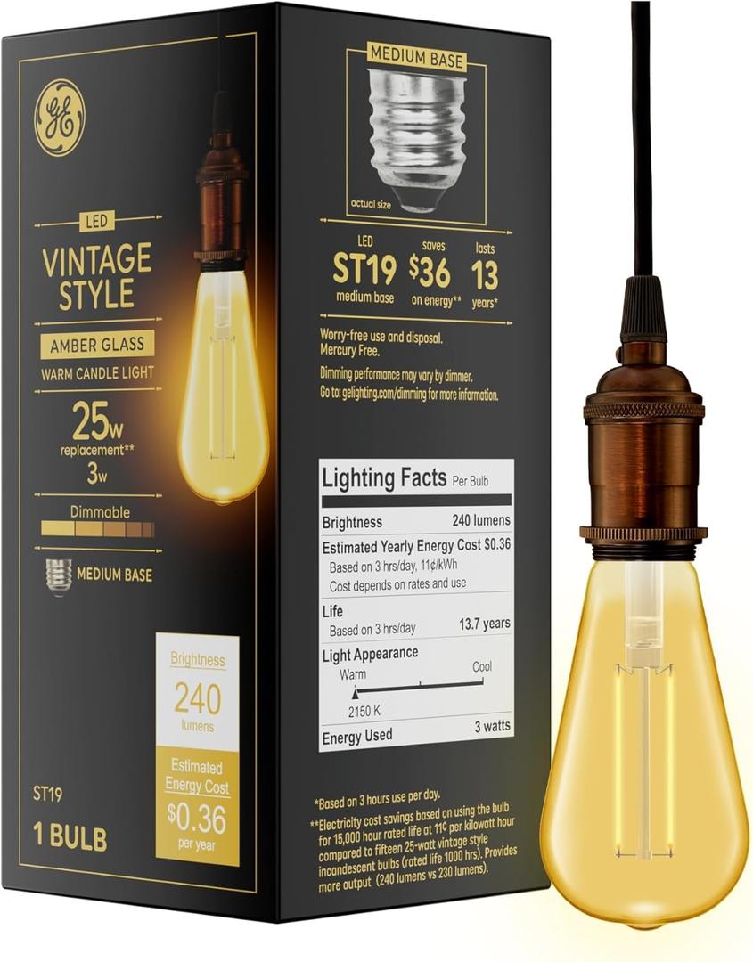 GE Vintage Style LED Light Bulb, 25 Watt, Amber Finish, ST19 Edison Style Bulb (1 Pack)