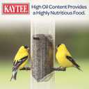 Kaytee Nyjer Wild Bird Food Seed, 3 Pound (EXP 01/17/28)
