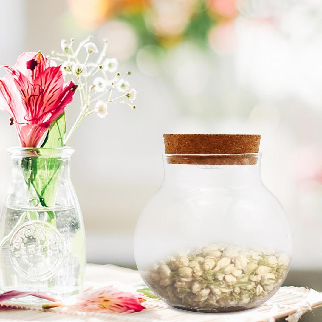 Round Glass Jar Storage Container, Plant Terrarium Display Glass, Moss Ball Bud Vases Jars, Easter Candy Jar Kitchen Canisters with Lid, for DIY Party Mason Jars Crafts Christmas Decoration (L)