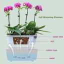 5 Pack Rectangular Planter 11.8 x 4.6 in Self Watering Planter Window Sill Planters Indoor Rectangle Planter Self Watering Pots Plastic Plant pots for African Violet Flower Orchid (Clear, 5)