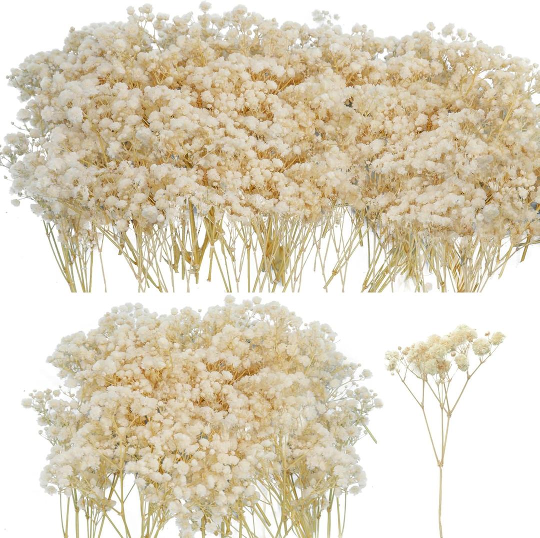 50Pcs Mini Dried Baby's Breath Flowers, 6'' Natural Ivory White Flowers for Resin Art Craft DIY, 3000+ Pressed Gypsophila Bouquet Present for Valentine's Day, Wedding Wreath, Card Making, Home Decor