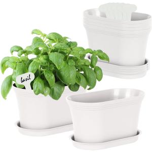 Windowsill Garden Pots, White Plastic Flower Pots with Drainage Tray for Herb, Succulents, African Violet (Pack of 6)