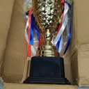 Fasmov Large Trophy Cup, Gold Trophy Award Cup for Sports, Tournaments, Competitions, 1st Place Award, Ceremony Celebration Party Gift, 14.5 inches, 14.5 inches x 6.7 inches (EXP 12/01/26)