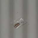 115+ Hosta Seeds for Planting - Perennial Shade Loving Foliage Plants, Hardy Garden Greenery for Shaded Areas, Ornamental Hostas for Yard and Landscape Decor