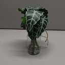 Muhanjia Artificial Flowers Turtle-Back, Alocasia Leaf, in Glass Vase with Faux Water,7Pcs Artificial Leaves Real Touch Latex Leaves for Centerpiece (1, Alocasia Leaf)