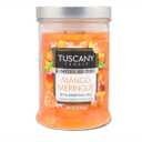 Tuscany Candle Mango Meringue Scented Limited Edition Candle
18 oz