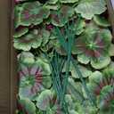 lovemoon 8 Pcs Artificial Geranium Plant Realistic Silk Flowers for Outside UV Resistant Faux Geraniums Flowers for Indoor Outdoor Home Garden Office Decoration (8, Rose Red)