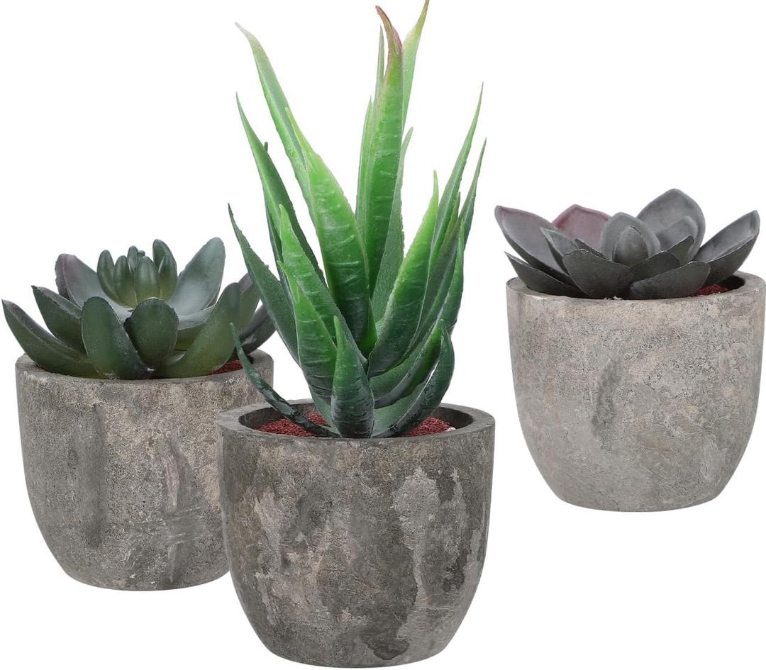 3pcs Faux Succulent Bonsai Cactus Plant Pot Flower Pot Container Plant Bonsai Artificial Simulation Plants with Pots Gife Idea Decorative