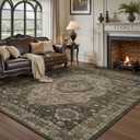 RESARE-Area Rug 6X9 Rug for Living Room-Machine Washable Rugs for Bedroom-Soft Vintage Brown Non Slip Carpet- Rug for Dining Room Office Under Bed or Table (6ft X 9ft)