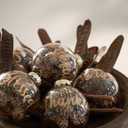 DN DECONATION Christmas Decor Tree Ornaments, 3.15" Glass Hanging Balls with Nature Pinecones for Farmhouse Rustic Fall Autumn Thanksgiving Christmas Decorations Indoor Home Decor (Gold and Blown12pcs)