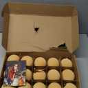 Brightown 15 Pcs Beige Velvet Christmas Balls, 3.15 Inch Velvet Ornaments for Christmas Tree, Christma Tree Flocked Ornaments Balls for Family Holiday Wedding Party Xmas Hanging Decoration