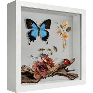 8x8 Shadow Box Frame Display Case, 3D Picture Frame, Display Case Box for Memorabilia, Baby Items, Wedding Memories, Crafts, Tickets and Photos (White)