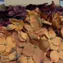 Hollyone Hydrangea Fall Flowers Artificial for Decoration with Glass Vase Black Silk Faux Flowers Arrangements in Vase with Faux Water Fake Floral Bouquet Table Centerpiece Halloween Home Decor