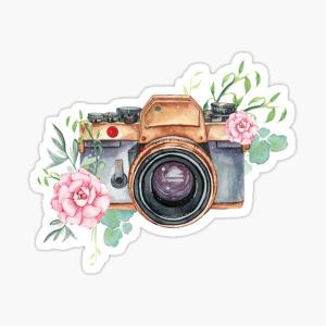 Waterproof Stickers Set - Laptop, Phone, Notebook & More - Trendy Gifts for All - Assorted