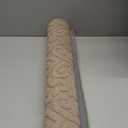 DEXI Indoor Front Door Entryway Mat Non Slip, 2x3 Washable Inside Entrance for House Floor Low Profile, Entry Doormat Absorbent Dirt Trapper, Light Beige