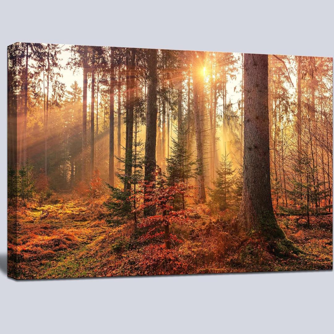 Mystery Forest Light Wall Art, Nature Landscape Pictures Canvas Prints Wall Decor, Autumn Trees Paintings Hang for Office Bedroom, Bathroom, Living Room for Home Decoration - 24”x36”