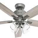 Hunter 52 inch Indoor Ceiling Fan with LED Lights and Remote Control - Standard Mount Ceiling Fan, 5 Blades, For Bedroom, Living Room, or Kitchen - Gatlinburg 52431, Matte Silver