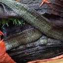 Realistic Pet Artificial Turf Grass 3FT x 5FT (15 Square ft) Fake Grass Carpet Rug Mat Green Synthetic Grass Drainage Holes for Customizable Home Garden Backyard Patio Outdoor Lawn Landscape