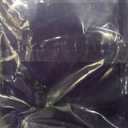 MAYSA Purple Bob Wig with Bangs for Women Short Straight Bob Wigs 12in Synthetic Cosplay Daily Party Colorful Neon Wigs # Dark Purple