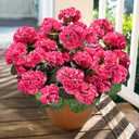 Artificial Geranium Fake Flowers for Outdoors Decoration, 6 Bundles Silk Geraniums Flower UV Resistant Look Real Faux Plants for Outside Planter Front Door Garden Patio Balcony Yard Home, Hot Pink