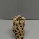 Awesome Aquatic 12 inch 2-3” Thick XL Teddy Bear/Chain Fruit/Buckhorn/Staghorn Cholla Wood Hollow Tube Wood Cactus Skeleton Tubes 12” x 2-3” Thick/Diameter (12 in x 2-3 in Diameter)