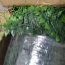 40x120 in (33.5 Sqft) Artificial Green Boxwood Hedge Screen Roll