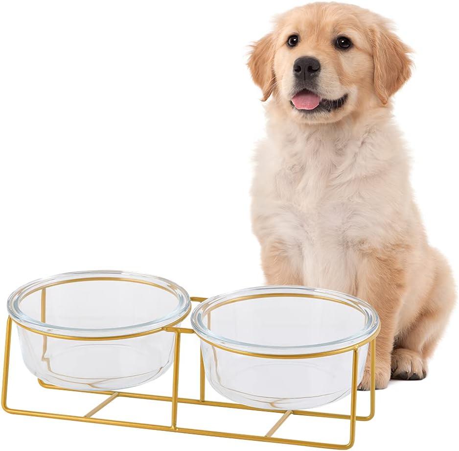 Elevated Dog Bowl Set of 2 - Double Glass Bowls with Gold Iron Stand - Raised Dishes Comfortable Feeding - Ideal for Small to Medium Sized Dogs (Large)