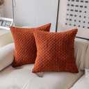 Kevin Textile Fall Pack of 2 Corduroy Decorative Throw Pillow Covers 20x20 Inch Soft Boho Striped Pillow Covers Modern Farmhouse Home Decor for Sofa Living Room Couch Bed Burnt Brick